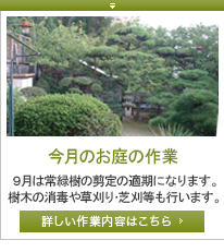 今月のお庭の作業